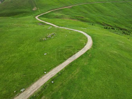A dirt road winding along an alpine pasture. The grass is green, and the curves are avoiding the inclined slopes. Drone view, Carpathia, Romania.