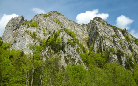 Massive calcareous crests rising up above a beech forest. The rocky peaks are located in Buila Mountains. Luxuriant vegetation grow at the feet of the sharp cliffs. Carpathia, Romania.