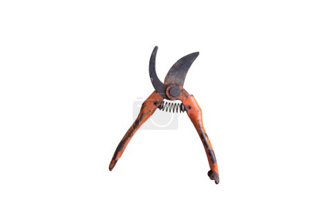 Isolated pliers on white background, metal and plastic tools for construction, repair, and gardening work