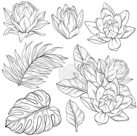 Illustration for Set of Black and white Lily flowers with monstera and palm leaves. Vector Hand drawn flowers - Royalty Free Image