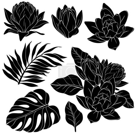 Illustration for Set of Lily flowers with monstera and palm leaves silhouettes. Vector flowers - Royalty Free Image