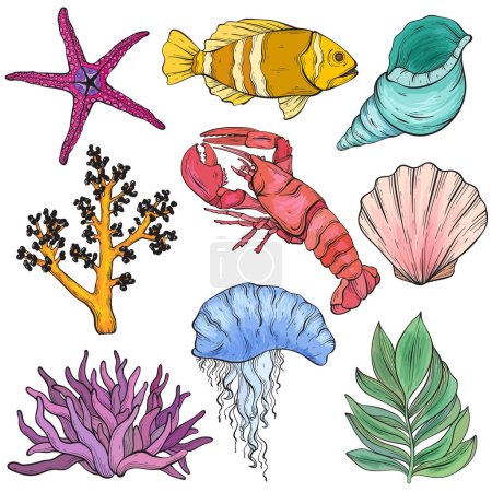 Ilustración de Criaturas marinas vectoriales establecidas. Vida silvestre habitantes del mar - Imagen libre de derechos