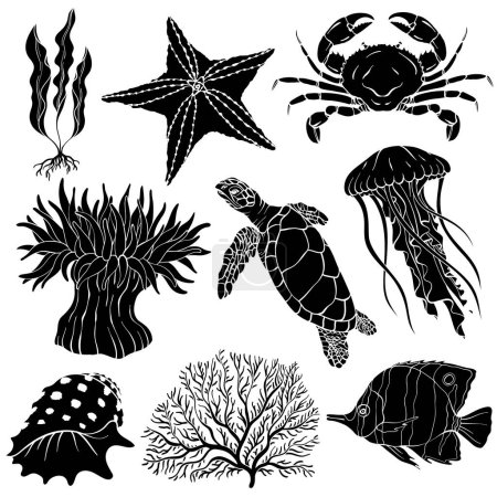 Illustration for Silhouettes underwater set. Various shell, algae, turtle, crab, crayfish, jellyfish shell coral starfish anemone Vector illustration - Royalty Free Image
