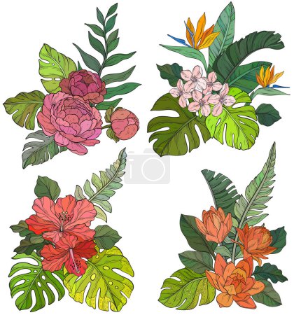 Téléchargez les illustrations : Ensemble de bouquets, éléments floraux isolés sur fond blanc. Illustration vectorielle - en licence libre de droit