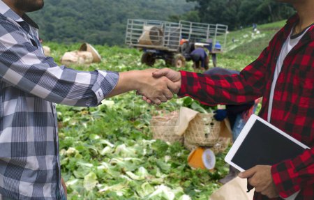 Two farmers making a deal with a handshake in a lush vegetable field, symbolizing agricultural partnerships