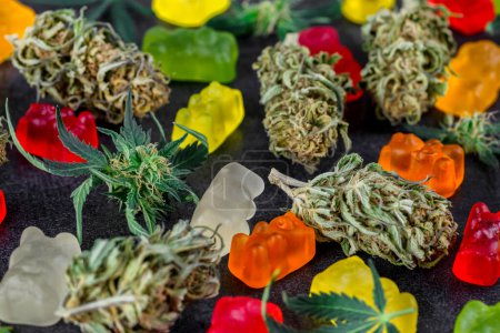 Photo for Medical CBD candies.Cannabis infused gummy bears.Cannabis edibles, medical marijuana,Candies Infused with CBD or THC,Alternative medicine. - Royalty Free Image