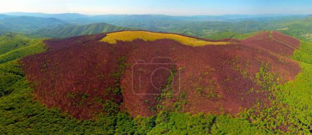 drone flies over a spring Carpathian peak with an interesting phenomenon - the mountain forest on the mountain is green up to a certain height, and above without leaves