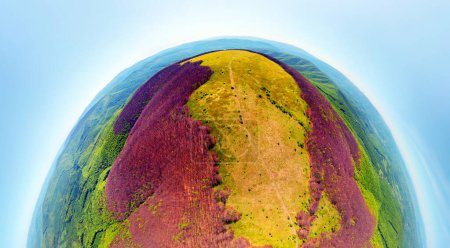 drone flies over a spring Carpathian peak with an interesting phenomenon - the mountain forest on the mountain is green up to a certain height, and above without leaves Spherical 360 panorama