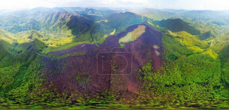 Drohne fliegt über eine Quelle Karpatengipfel mit einem interessanten Phänomen - der Bergwald auf dem Berg ist grün bis zu einer gewissen Höhe, und oben ohne Blätter