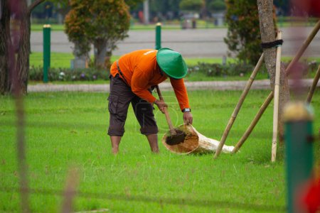 Téléchargez les photos : Un homme travaille sur le nettoyage du jardin avec une houe - en image libre de droit
