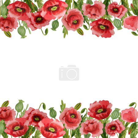 Photo for Watercolor red poppies isolated frame. Hand painted illustration with meadow red flowers to design invitations, postcards and other print - Royalty Free Image