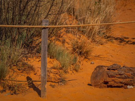 Téléchargez les photos : Un tronc d'arbre coupé sur sable rouge. Résumé Rustler canyon moher falaises paysage. Colorado provençal près de Roussillon, Sud de la France. Fond sable rouge - en image libre de droit
