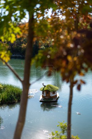 Téléchargez les photos : Un beau paysage de petite maison dans un lac dans le parc d'or Zlaten parc à Lukovit, Bulgarie. Le canard nage dans le lac. Photo de haute qualité - en image libre de droit