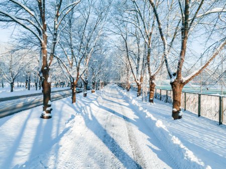Magische Wintersaison. Schneeweg durch den Winterwald an einem sonnigen Tag. Schöner magischer Winter.