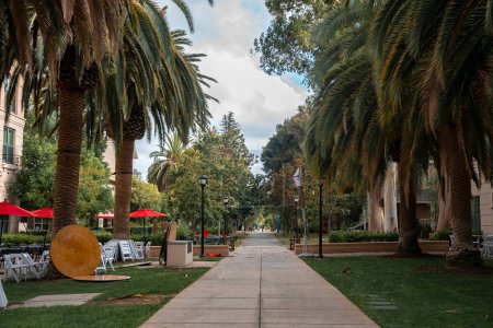 Photo for Diminishing perspective of empty footpath amidst trees and plants growing at Stanford University campus in Palo Alto at California - Royalty Free Image