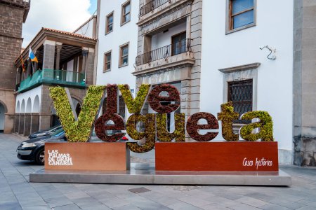 Foto de Structure of ivy patterned Vive Vegueta text with residential building and courthouse in the background at Las Palmas, Gran Canaria, Spain - Imagen libre de derechos