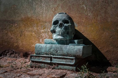 A detailed stone skull sculpture atop books, set against a weathered, earthy wall with mossy tones, surrounded by rocks and sparse greenery, possibly in Helsingborg.