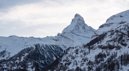 Une image sereine du Cervin enneigé de la station de ski de Zermatt, en Suisse, montre sa forme pyramidale emblématique contre un ciel nuageux, avec peu de conifères sur un terrain accidenté.