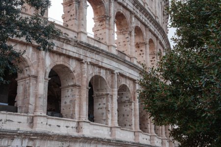 Close up view of the Colosseum, Flavian Amphitheatre, Rome, Italy. Weathered exterior, arches, tiered seating, ancient stone construction. Green tree, cloudy sky, historical grandeur.