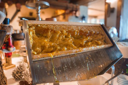 Fresh honey drips from a partially eaten honeycomb frame in an indoor setting with warm lighting and rustic decor, hinting at a market or restaurant theme.