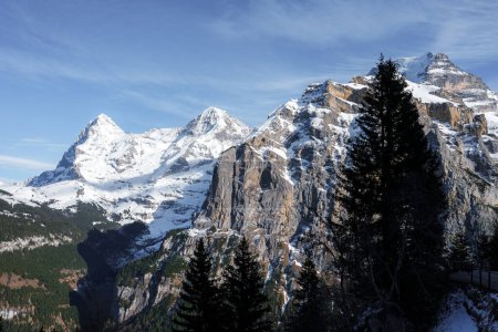 Vue imprenable sur la station de ski Murren en Suisse conifères vert foncé au premier plan, pistes enneigées, sommets enneigés emblématiques en arrière-plan.