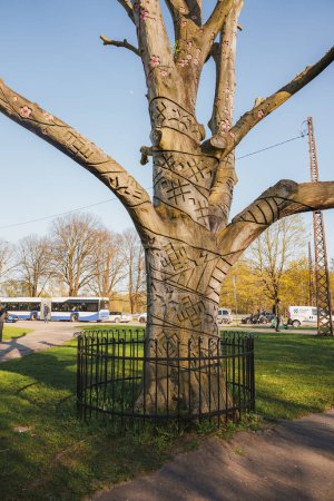 Téléchargez les photos : Symbole letton arbre, grand chêne, Parc de la Victoire, Riga, Lettonie - en image libre de droit