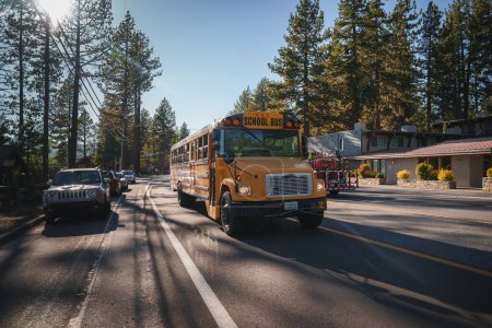 Foto de Autobús escolar americano amarillo clásico viaja por una carretera bordeada de pinos altos. ESCUELA BUS muestra en la parte delantera. Día claro y soleado con edificios al fondo. - Imagen libre de derechos