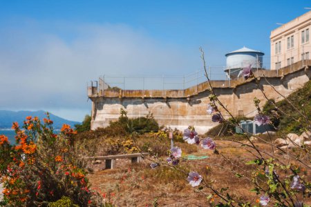 Explorez les îles Alcatraz contrastant avec l'histoire et la nature à San Francisco, États-Unis. Découvrez les vestiges de la prison au milieu de fleurs vibrantes et de structures en décomposition.