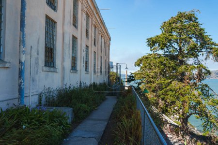 Alcatraz prison scene in San Francisco, USA. Aged building with barred windows, pathway with chain link fence, and greenery. Nature and history contrasted.