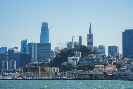 Photo for Daytime view of San Francisco skyline from across the water. Modern high rises, traditional buildings, iconic Transamerica Pyramid, calm water, clear sky. - Royalty Free Image