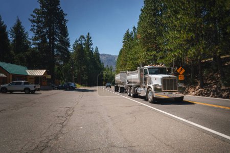 Foto de Camión americano clásico viaja por una carretera bordeada de pinos altos. Día claro y soleado con edificios al fondo. - Imagen libre de derechos