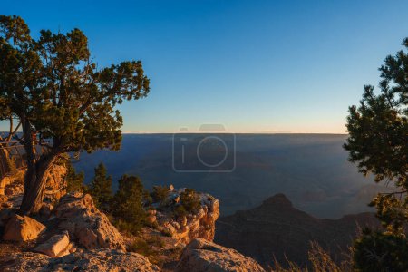 Heiterer Blick auf die Schlucht bei Sonnenaufgang oder Sonnenuntergang mit zerklüftetem Gelände, widerstandsfähigen Bäumen, Schichten von Klippen und klarem blauen Himmel. Standort ähnelt Grand Canyon, USA.