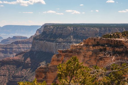 Téléchargez les photos : Vue impressionnante du Grand Canyon en Arizona, États-Unis. Des formations rocheuses impressionnantes, des teintes terreuses, un ciel dégagé, un terrain accidenté et des arbres résilients capturés ici. - en image libre de droit