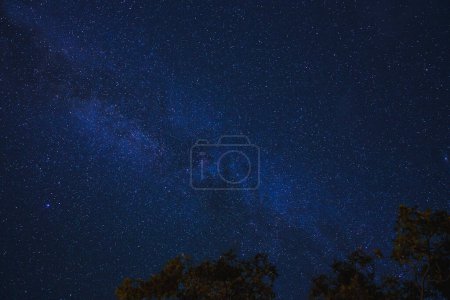A mesmerizing night sky filled with stars, capturing a slice of the Milky Way galaxy. White specks twinkle in a deep blue expanse, framed by tree silhouettes. Perfect for stargazing.