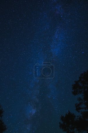 Nachthimmel-Ansicht der Milchstraße mit Sternen, von tiefblau bis schwarz am Grand Canyon. Baumsilhouetten deuten auf klare Nacht in abgelegener, lichtverschmutzungsfreier Gegend hin.