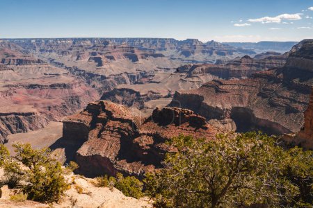 Panoramic view of the Grand Canyon, Arizona, USA. Vast red rock formations with clear blue sky. Vegetation in foreground. Breathtaking natural wonder.