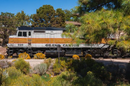Photo for Diesel locomotive with GRAND CANYON on the side, possibly part of the Grand Canyon Railway in Arizona, USA. Numbered 239, scenic setting with pine trees. - Royalty Free Image
