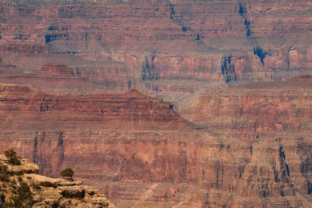Erkunden Sie die atemberaubende Landschaft des Grand Canyon mit einer atemberaubenden Geologie aus Rot-, Orangen- und Brauntönen. Gesteinsschichten erzählen Millionen Jahre Geschichte. Ideal für Arizona Reiseinhalte.