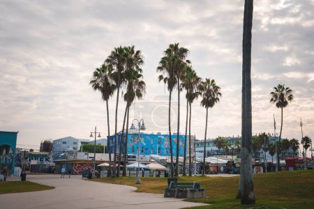 Photo for Venice Beach, Los Angeles showcases a tranquil scene on a cloudy day. Palm trees, graffiti adorned buildings, and flags create a colorful urban beach vibe. - Royalty Free Image