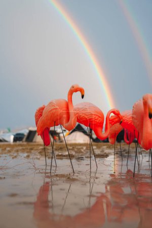 Lebendige rosa Flamingo-Skulpturen, die im Wasser stehen, Wüstenlandschaft mit Zelten, doppelter Regenbogen am Himmel, einzigartige Gegenüberstellung von Kunst und Natur.