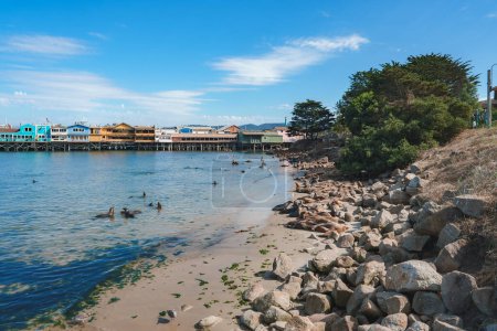 Tranquil coastal scene with sandy beach, rocky shoreline, calm water, sea lions, pier with shops, clear sky, people, green hill. Ideal for coastal tourism ads. Monterey.