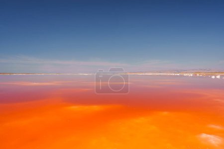 Vibrant pink lake with gradient colors transitioning from orange to pink under a clear blue sky at Alviso Pink Lake Park, California. Serene and surreal landscape.