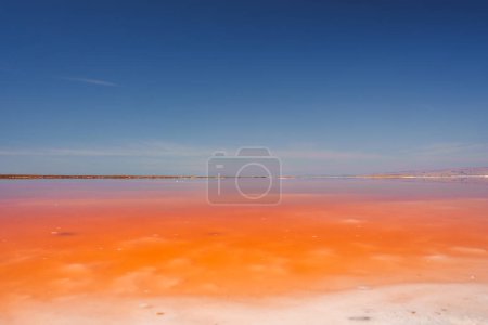 Vibrant pink lake under blue sky at Alviso Pink Lake Park, California. Mineral rich water creates gradient from light to intense pink. Serene natural beauty.