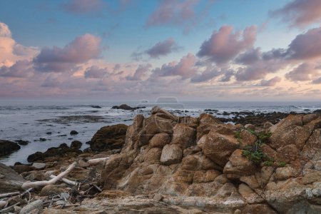 Serene coastal scene along the 17 Mile Drive in California, USA. Rugged rocks, driftwood, tide pools, and pastel sky colors create a peaceful atmosphere.