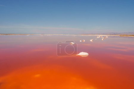 Serene Alviso Pink Lake Park in California. Pink lake due to algae or halobacteria. Calm water reflects sky, white salt formations float. Vast, tranquil beauty.