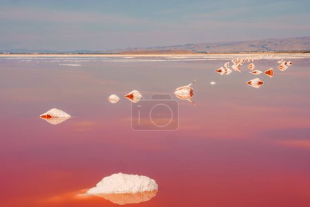 Photo for Serene scene at Alviso Pink Lake Park, California. Pink water, white salt formations, clear sky, calm water for mirror like reflection in surreal landscape. - Royalty Free Image