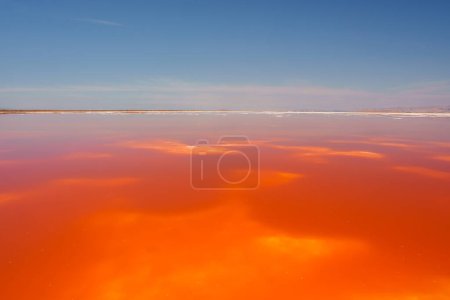 Vibrant pink lake under clear blue sky, reflecting hues of water and sky. Likely due to algae or bacteria in high salinity environment. Location Alviso Pink Lake Park, California.