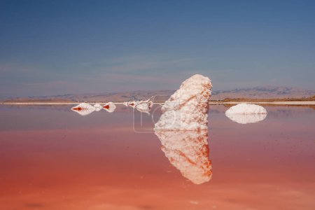 Serene scene at Alvisos pink lake park in California with striking pink hue from halophilic bacteria. Salt formations, distant mountains, calm atmosphere.
