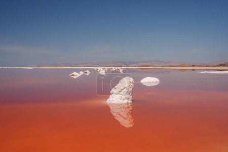 Discover the surreal beauty of a pink lake with vibrant hues of halophilic bacteria at Alviso Pink Lake Park, California. Sky and salt formations add to the picturesque scene.