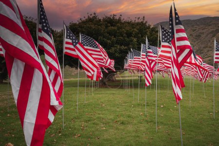 American flags flutter in a field with a tree backdrop under a sky of soft hues at a scenic location in California, USA. A patriotic display or installation honoring the country.